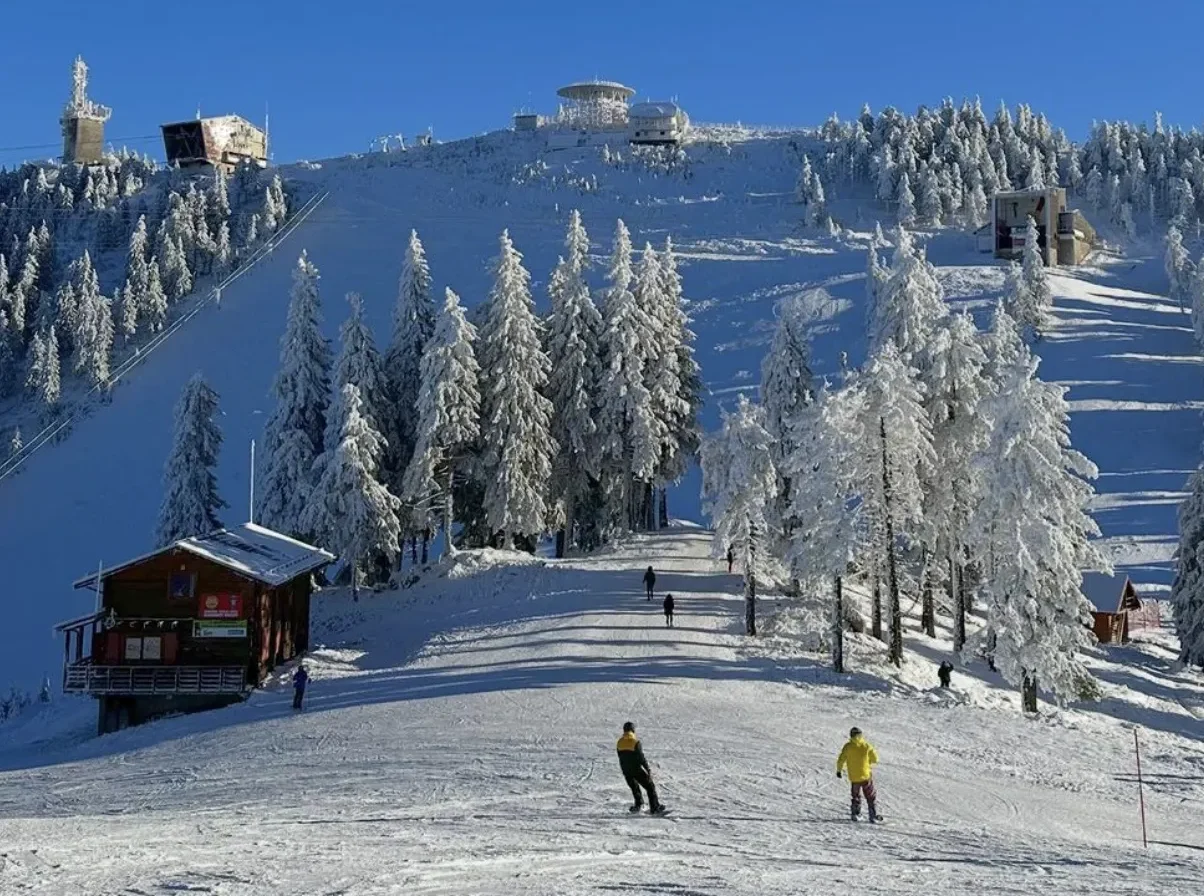 Paradis alpin